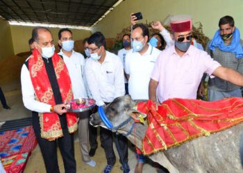 CM visits Cow Sanctuary at Thanakalan