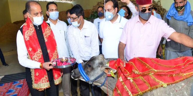 CM visits Cow Sanctuary at Thanakalan