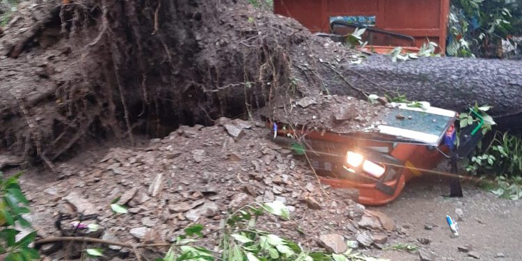 Landslide-Himachal Pradesh ,Shimla (Tolland near Khalini, Shimla )