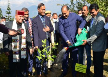 CM plants sapling in Tapovan Vidhan Sabha