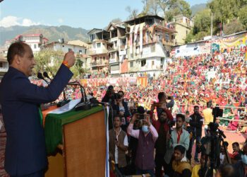 Gender inclusion is driving factor for social progress and economic growth: CM