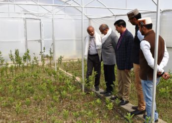 Promote local crops and products: Dr Sharma SAC Meeting of KVK Tabo held