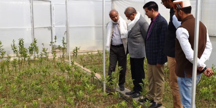 Promote local crops and products: Dr Sharma SAC Meeting of KVK Tabo held