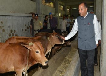 CM visits Madhav Srishti Bahuaayami Sansthan