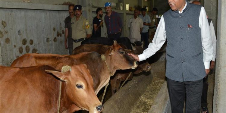CM visits Madhav Srishti Bahuaayami Sansthan