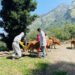 National Animal Disease Program for control of Brucellosis in Cows started in District Shimla , Himachal Pradesh.