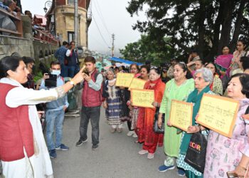 Congress president should apologise for her statement : Neelam