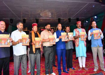 CM presides over cultural night of Minjar fair