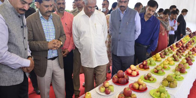 Governor inaugurates Apple Fair