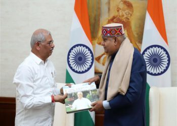 Governor calls on Vice-President