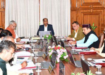 HP CABINET DECISIONS