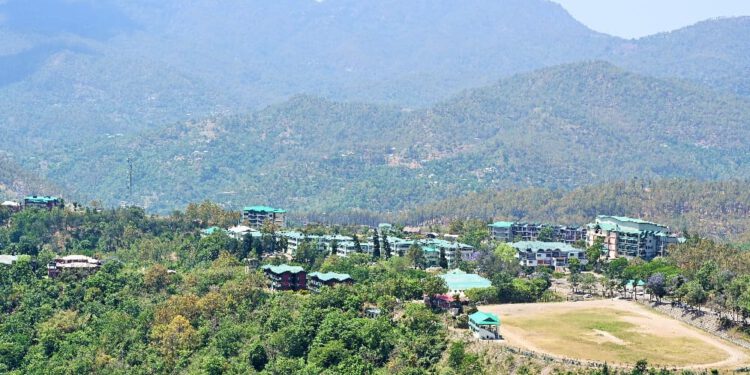 Over 1.5 lakh temperate fruit plants sold by Nauni varsity; sale to continue at University campus and outstations