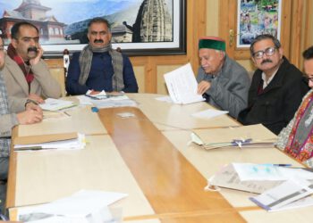 Government working with resolve to provide shelter to abandoned cattle