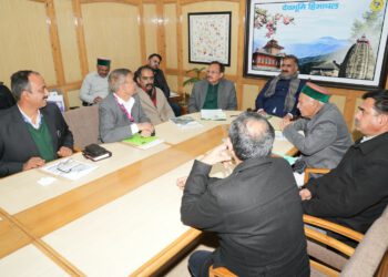 Government focuses on shifting to electric vehicles