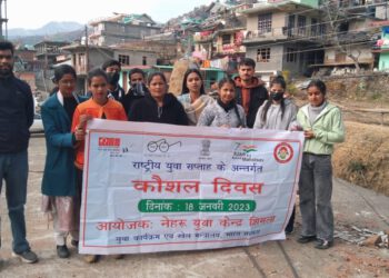 नेहरू युवा केंद्र शिमला द्वारा आज युवा सप्ताह के अन्तर्गत कौशल/कुशलता दिवस रोहड़ू के ग्लोबल इंस्टिट्यूट में मनाया गया