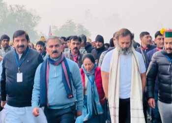 Rousing reception given to Rahul’s Bharat Jodo Yatra in Himachal